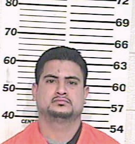 Ledesma Rolando - Hidalgo County, TX 