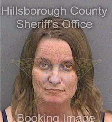 Abel Sandra - Hillsborough County, FL 