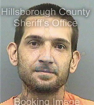 Johnson Timothy - Hillsborough County, FL 