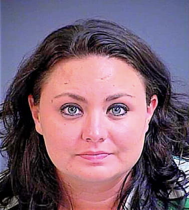Sullivan Courtney - Charleston County, SC 