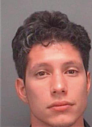 Marinez Eric - Pinellas County, FL 