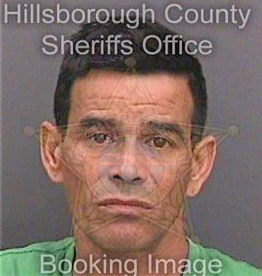 Valdes Feliberto - Hillsborough County, FL 