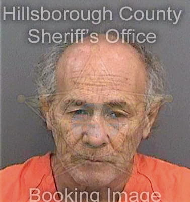 Diaztorres Hector - Hillsborough County, FL 