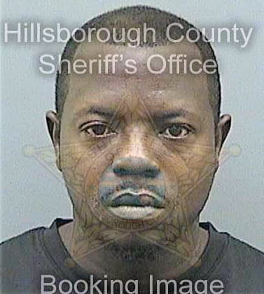 Goodman Jermaine - Hillsborough County, FL 