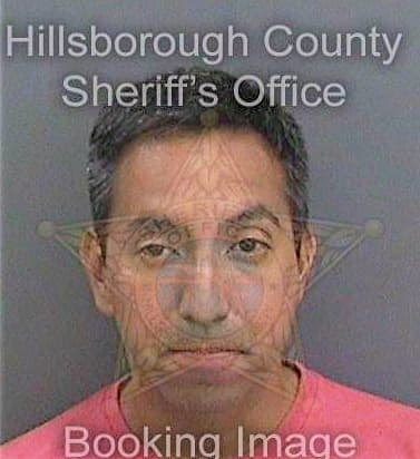 Dickey Jonathan - Hillsborough County, FL 