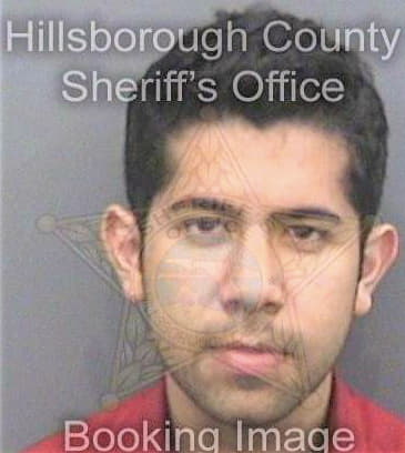 Valle Nicholas - Hillsborough County, FL 