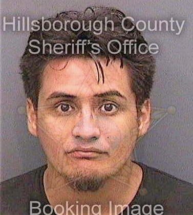 Vazquezgonzalez Raul - Hillsborough County, FL 