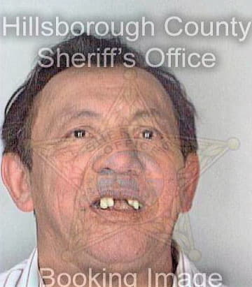Villanuena Reinaldo - Hillsborough County, FL 