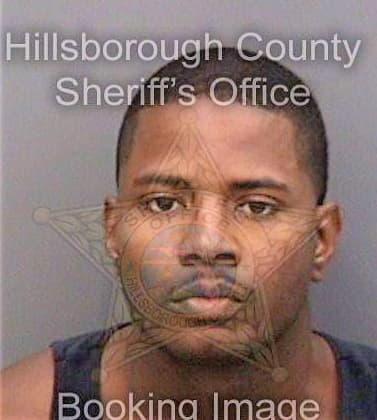 Stevens Cornelius - Hillsborough County, FL 