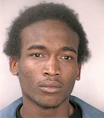 Freeman Dian - Hillsborough County, FL 
