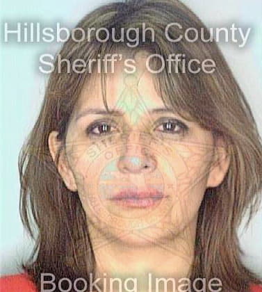 Srour Silva - Hillsborough County, FL 