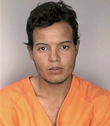 Albertomayorga Carlos - Hillsborough County, FL 