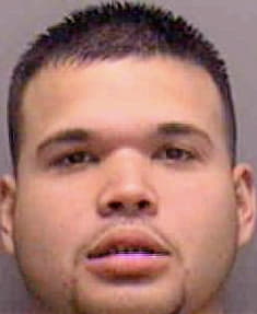 Giraldo Christian - Lee County, FL 