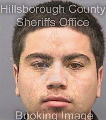 Pinel Danny - Hillsborough County, FL 