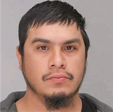 Mendoza Hector - Dallas County, TX 
