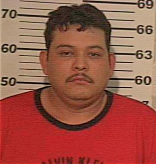 Ramirez Jose - Hidalgo County, TX 