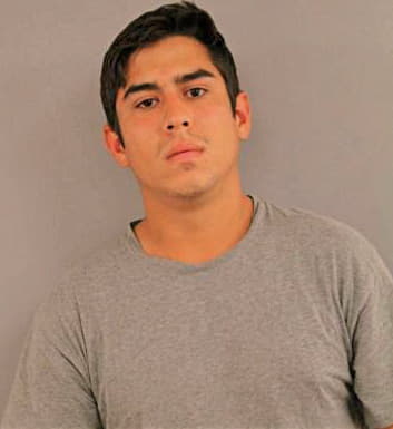 Gomez Joshua - Bastrop County, TX 