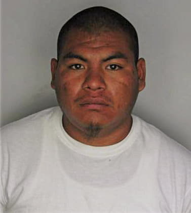 Ramirez Magdaleno - Hillsborough County, FL 