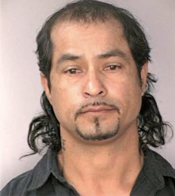 Ramirez Guillermo - Hillsborough County, FL 