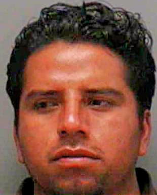 Molina Luciano - Lee County, FL 