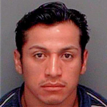 Gonzalez Arturo - Pinellas County, FL 