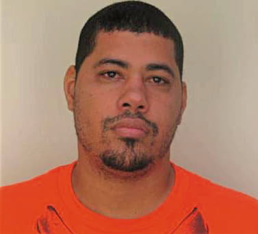 Vega Manuel - Hillsborough County, FL 