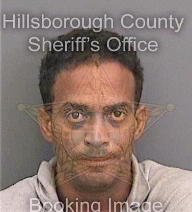 Martinezgarcia Ralph - Hillsborough County, FL 