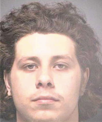 Mendez Raymond - Hillsborough County, FL 