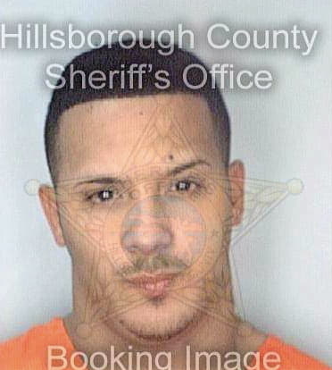 Rodriguez Cesar - Hillsborough County, FL 