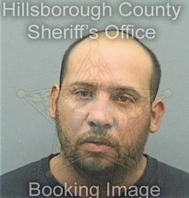 Ortiz Gerardo - Hillsborough County, FL 