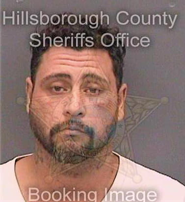 Acosta Jaime - Hillsborough County, FL 