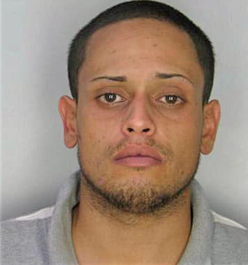 Carrasquillo Josue - Hillsborough County, FL 