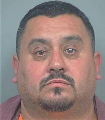 Medrano Roberto - Gwinnett County, GA 