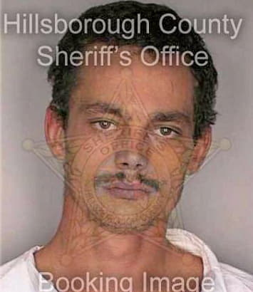 Smith Christopher - Hillsborough County, FL 