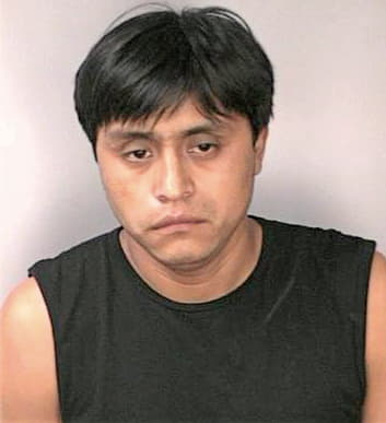 Mateo Domingo - Hillsborough County, FL 