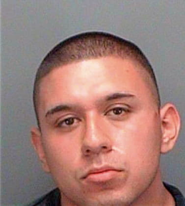 Charrez Ivan - Pinellas County, FL 