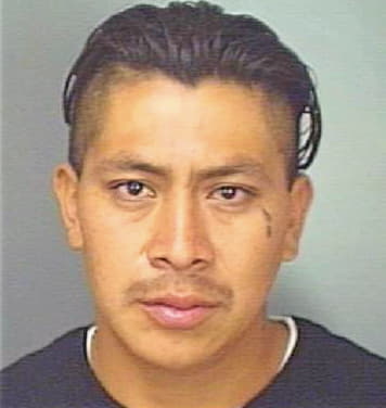 Martin Jose - Polk County, FL 