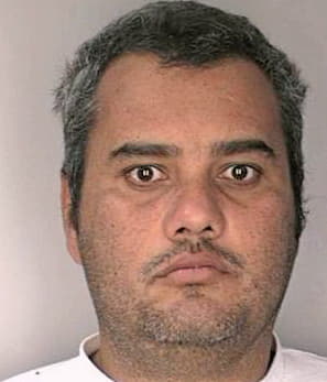 Quinones Amaury - Hillsborough County, FL 