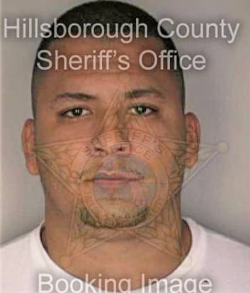 Santana Anibal - Hillsborough County, FL 