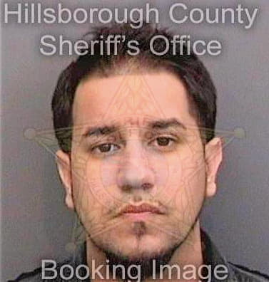 Cardenas Enrique - Hillsborough County, FL 