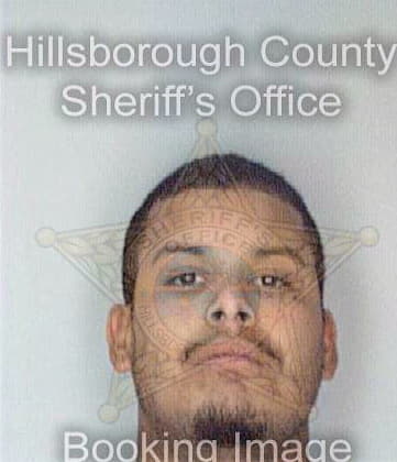 Robles Felix - Hillsborough County, FL 