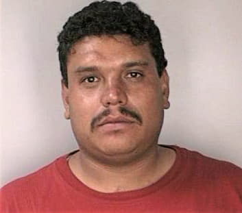 Arandagarcia Jose - Hillsborough County, FL 