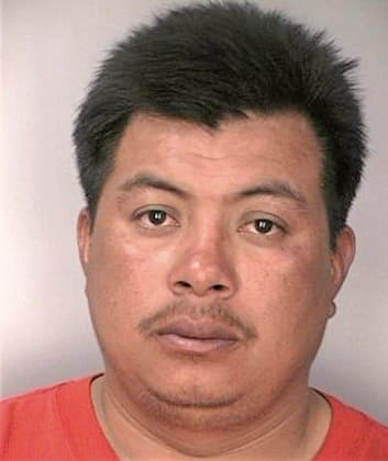 Hernandezarguello Jose - Hillsborough County, FL 