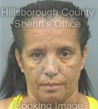 Martinez Rosario - Hillsborough County, FL 