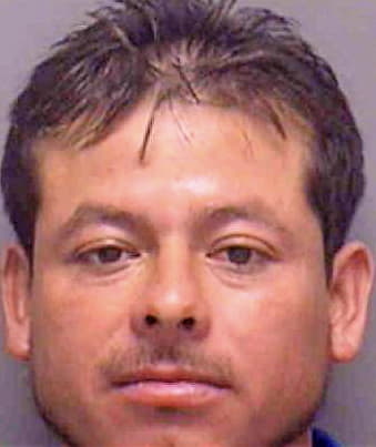 Porcayo-Martinez Artemio - Lee County, FL 