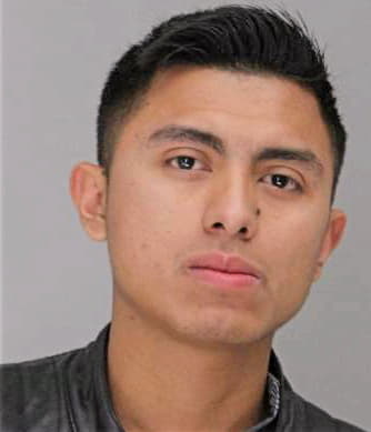 Soteloarce Cristian - Dallas County, TX 