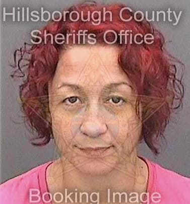 Curry Elisabeth - Hillsborough County, FL 