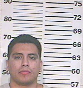 Gonzalez Gabrian - Hidalgo County, TX 