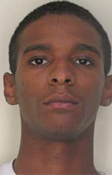 Mitchell Nikko - Hillsborough County, FL 