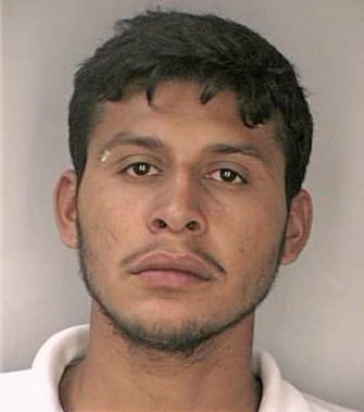 Hernandez Rene - Hillsborough County, FL 